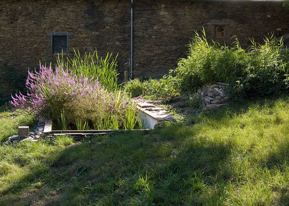 ASSAINISSEMENT AQUATIRIS EN SERVICEUn système d'assainissement en service, la végétation ayant poussée, le Jardin d'assainissement est fonctionnel et embelli votre jardin.