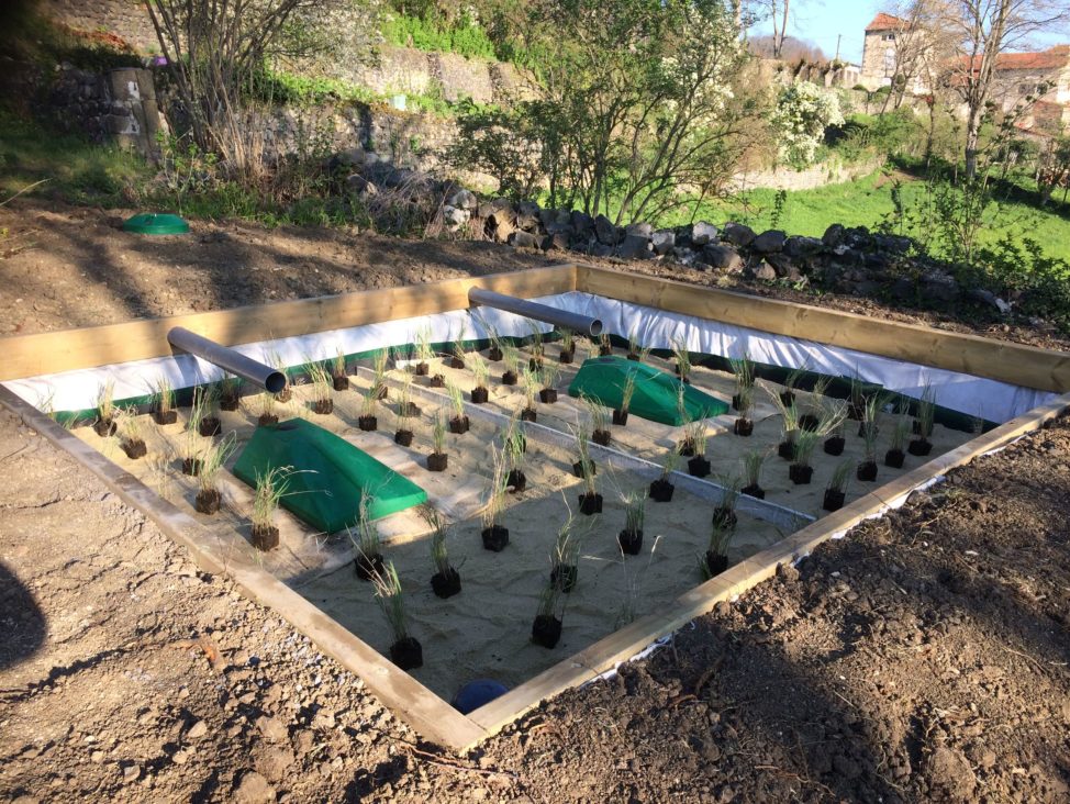 Plantation de roseauxPlantation des roseaux dans le système d'assainissement. Ce sont les bactéries autour des racines qui réalisent le traitement des eaux usées.